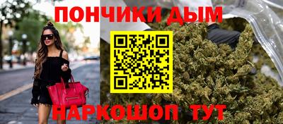 стаф Кунгур